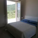 Il Colle *