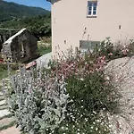 Il Colle
