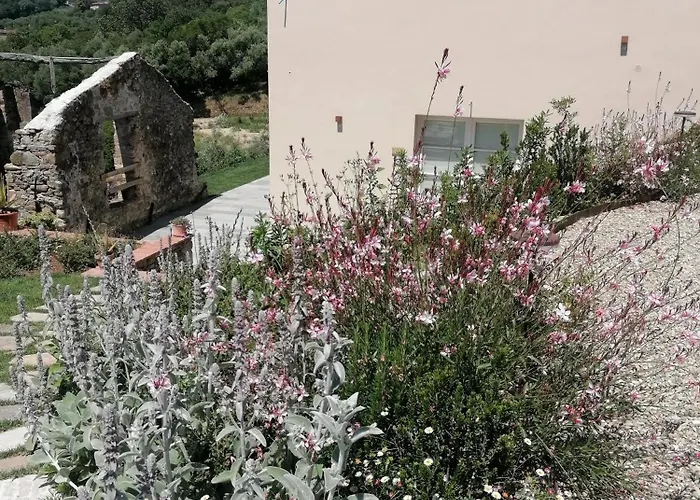 Il Colle
