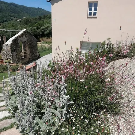 Il Colle